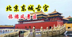 日美女少肥BB视频中国北京-东城古宫旅游风景区